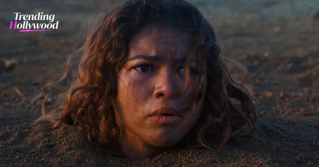 Did Rue Die in Euphoria Season 3 Episode 5 This Little Piggy?,HBO Leaves Her Fate Unclear!